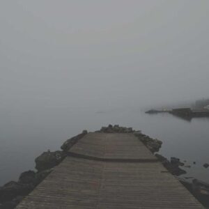 Forever Starts Today