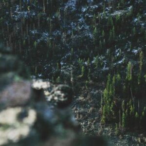 Eid Al-Adha Blessings